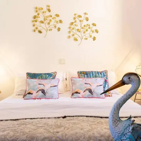 Mandarina - Costa Carpediem *