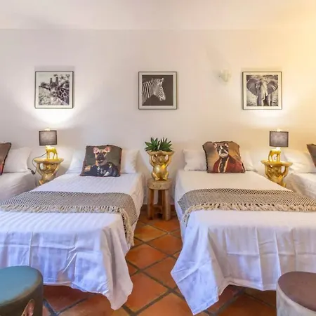 Mandarina - Costa Carpediem * Кальпе